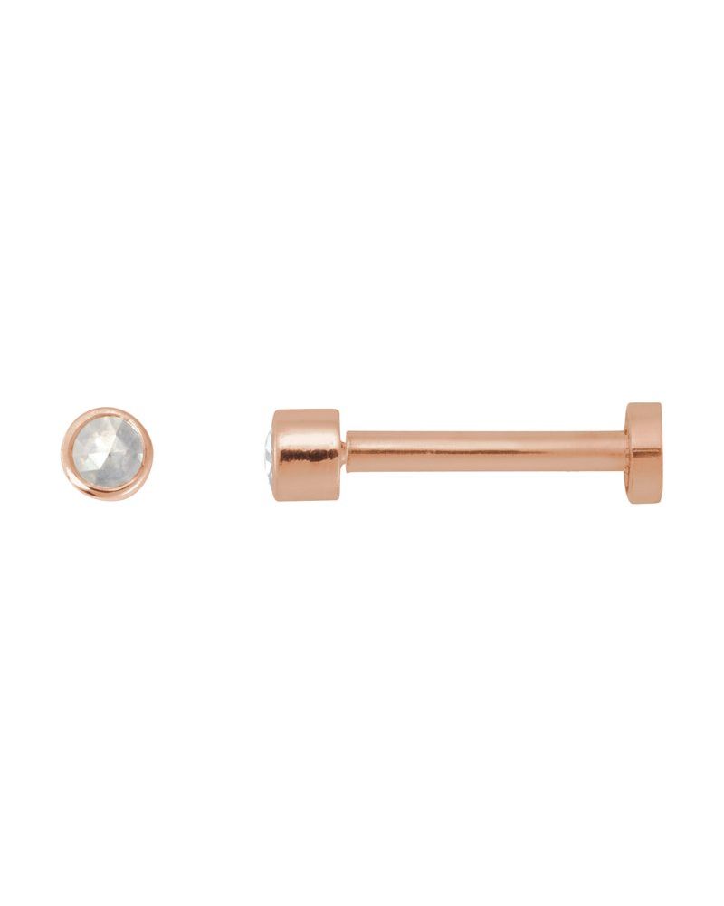Brinco Redondo Lapidação Rosa com Cravação Bezel em Ouro 14k com Diamantes Naturais