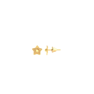 Brinco Estrela Raiada 5MM Bolinha — Ouro 10K