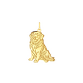 Pingente Golden 2