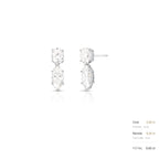 Brinco de Prata 925 Pêndulo com Pedras Moissanites 7x14mm