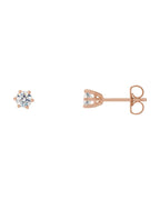 Brinco Ponto de Luz Redondo Seis Garras em Ouro 14k com Diamantes Naturais