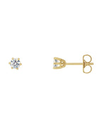 Brinco Ponto de Luz Redondo Seis Garras em Ouro 14k com Diamantes Naturais