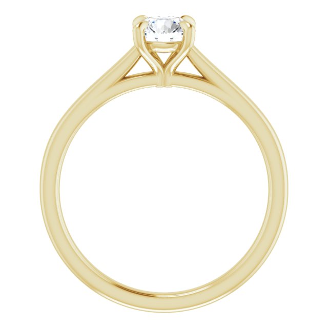 Solitário com Garras – Ouro Amarelo 14k – vista frontal