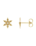 Brinco Floco de Neve em Ouro 14k com Diamantes Naturais