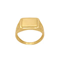 Anel Aro Chapa em Ouro 18K