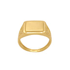 Anel Aro Chapa em Ouro 18K