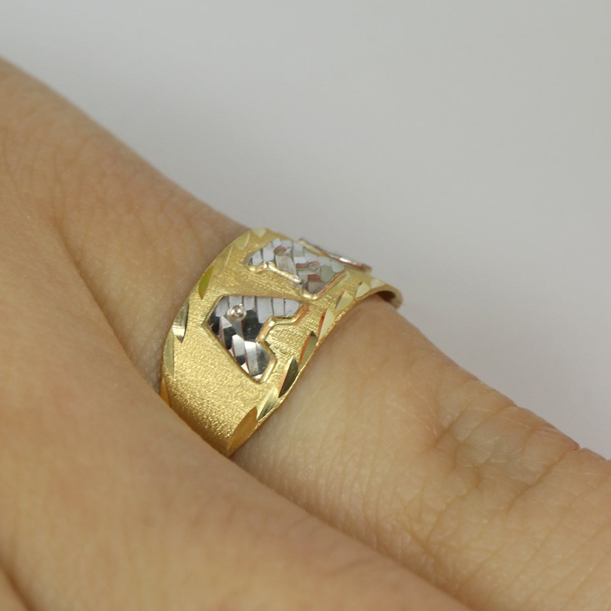 Anel Aro Chapa Rodinado em Ouro 18K