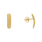 Brinco Chapa em Ouro 18K