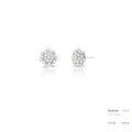 Brinco de Prata 925 de Flor com Pedras Moissanites 2mm